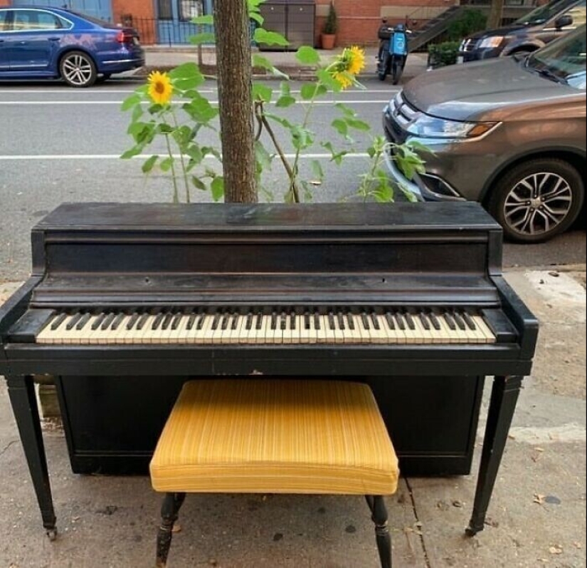 35 cosas hermosas que la gente considera la basura y poner en las calles de nueva York