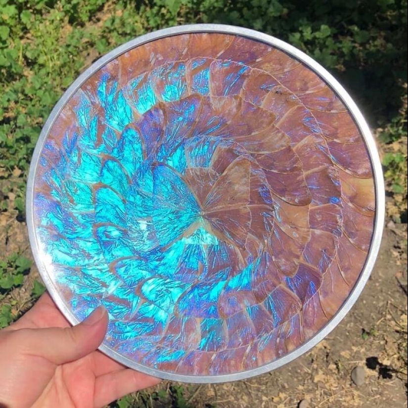 35 cosas interesantes que se encuentran en los mercados de pulgas y tiendas de segunda mano 35 cosas interesantes que se encuentran en los mercados de pulgas y tiendas de segunda mano