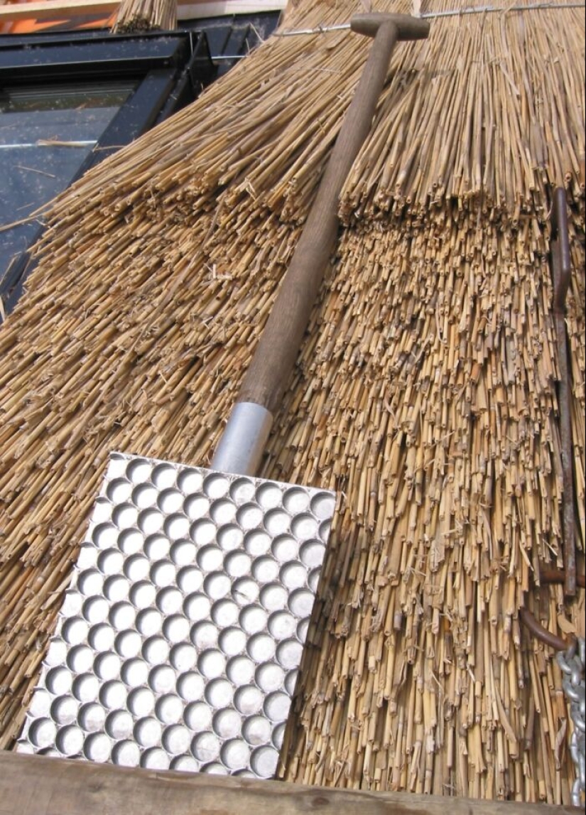 35 cosas raras utilizadas por personas de las profesiones más inusuales 35 cosas raras utilizadas por personas de las profesiones más inusuales