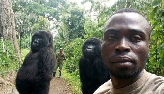 35 fascinating pictures from the Reddit community "Interesting As Fuck" 35 fascinating pictures from the Reddit community "Interesting As Fuck"