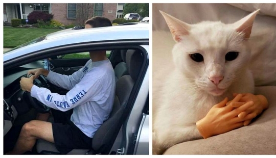 35 fotos divertidas y divertidas para que tu día sea un poco mejor