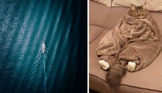 35 fotos donde se puede ver algo completamente diferente de lo que se representa 35 fotos donde se puede ver algo completamente diferente de lo que se representa