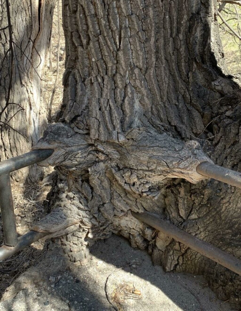 35 fotos impresionantes que muestran la crueldad del tiempo 35 fotos impresionantes que muestran la crueldad del tiempo