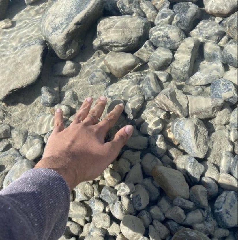 35 fotos inusuales y geniales que te entretendrán y complacerán