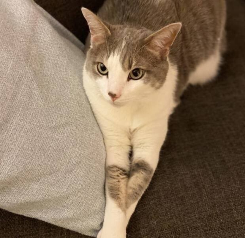 35 fotos inusuales y geniales que te entretendrán y complacerán