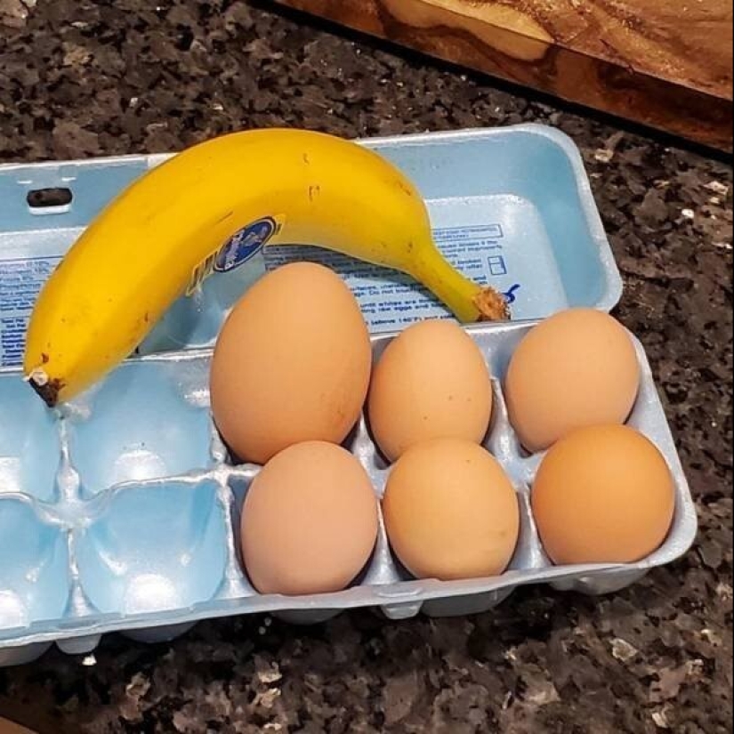 35 fotos inusuales y geniales que te entretendrán y complacerán