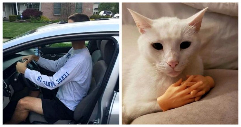 35 funny and just funny photos to make your day a little better