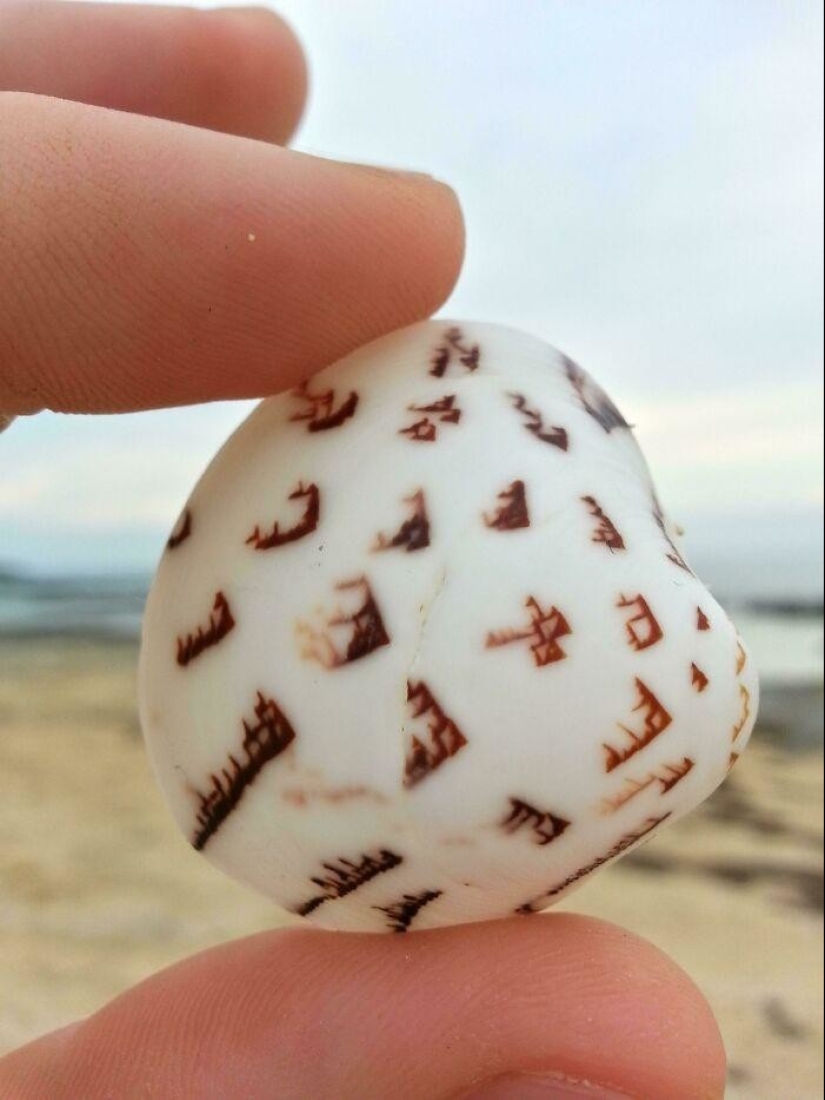 35 hallazgos inusuales de personas comunes y corrientes 35 hallazgos inusuales de personas comunes y corrientes