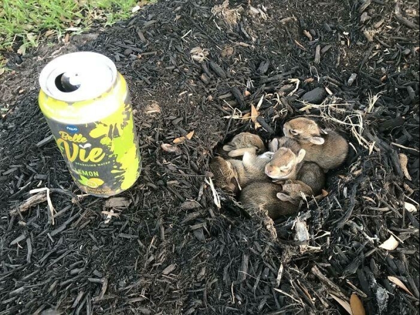 35 hallazgos inusuales de personas comunes y corrientes 35 hallazgos inusuales de personas comunes y corrientes