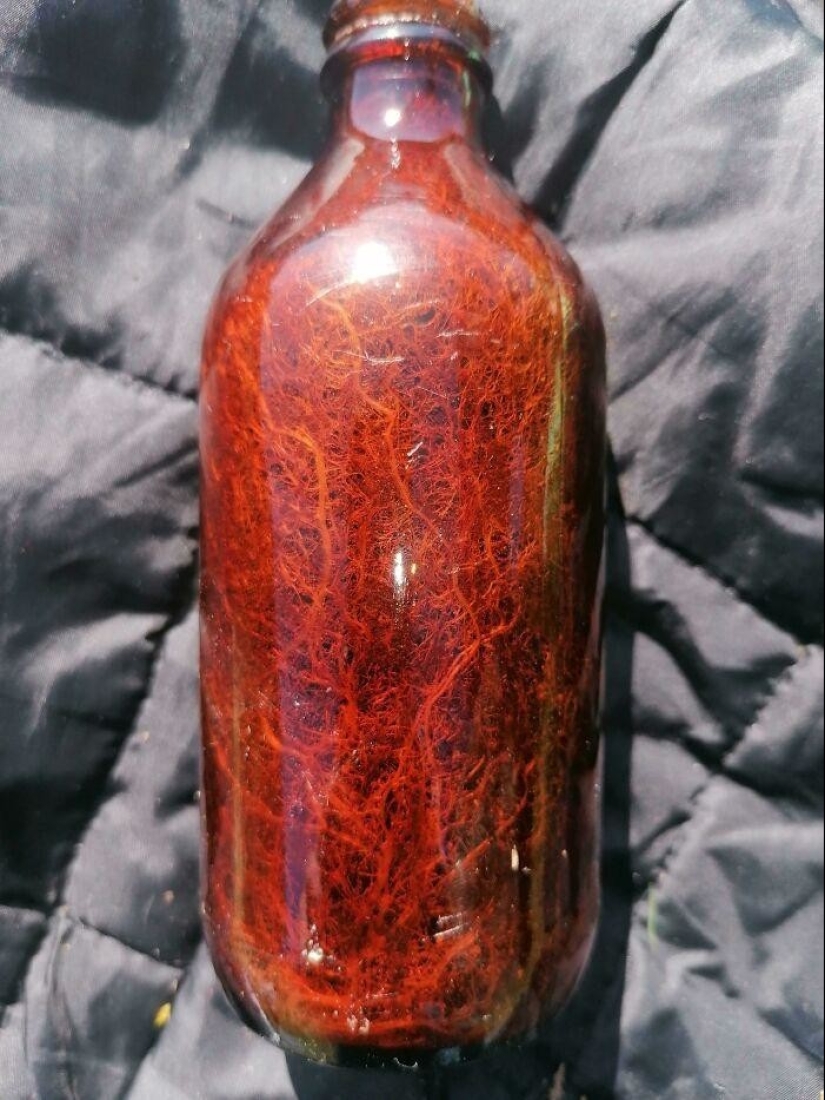 35 hallazgos inusuales de personas comunes y corrientes 35 hallazgos inusuales de personas comunes y corrientes