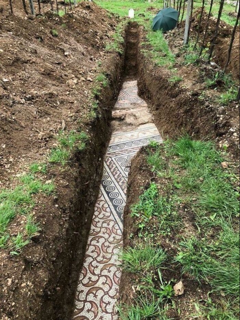 35 hallazgos inusuales de personas comunes y corrientes 35 hallazgos inusuales de personas comunes y corrientes