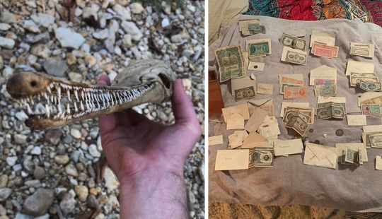 35 hallazgos inusuales de personas comunes y corrientes 35 hallazgos inusuales de personas comunes y corrientes