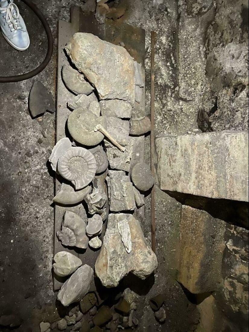 35 hallazgos inusuales de personas comunes y corrientes 35 hallazgos inusuales de personas comunes y corrientes