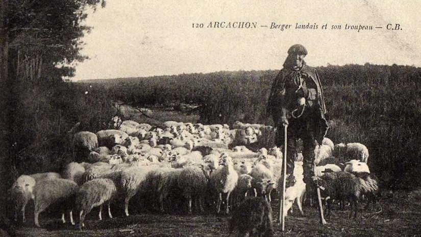 35 hechos extraños y entretenidos de la Historia Rara cuenta que los amantes de la historia apreciarán 35 hechos extraños y entretenidos de la Historia Rara cuenta que los amantes de la historia apreciarán