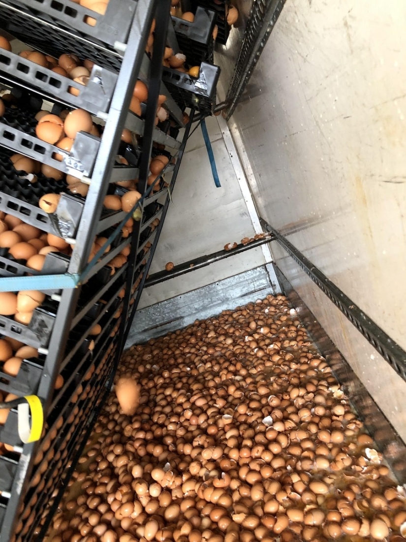 35 people who didn't know they were making a terrible mistake 35 people who didn't know they were making a terrible mistake