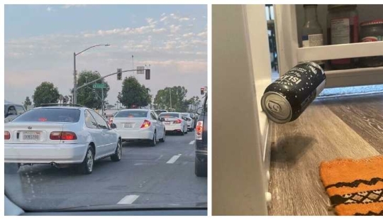 35 photos of non-obvious and incredible finds shared on the Web