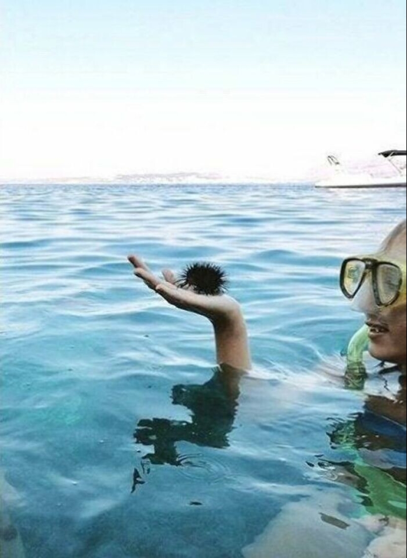 35 photos where you can see something completely different from what is depicted 35 photos where you can see something completely different from what is depicted