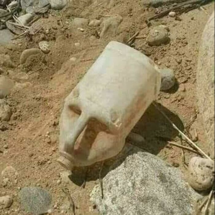 35 photos where you can see something completely different from what is depicted 35 photos where you can see something completely different from what is depicted