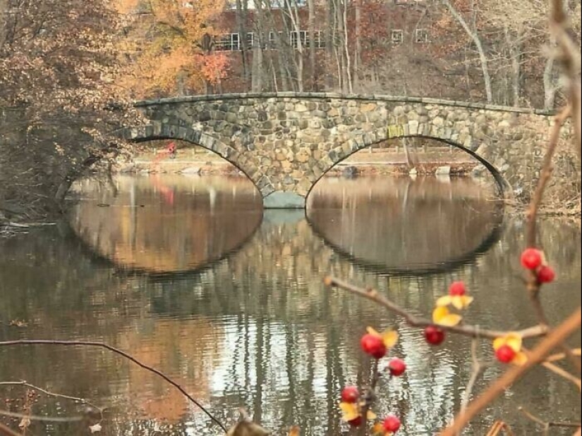 35 photos where you can see something completely different from what is depicted 35 photos where you can see something completely different from what is depicted