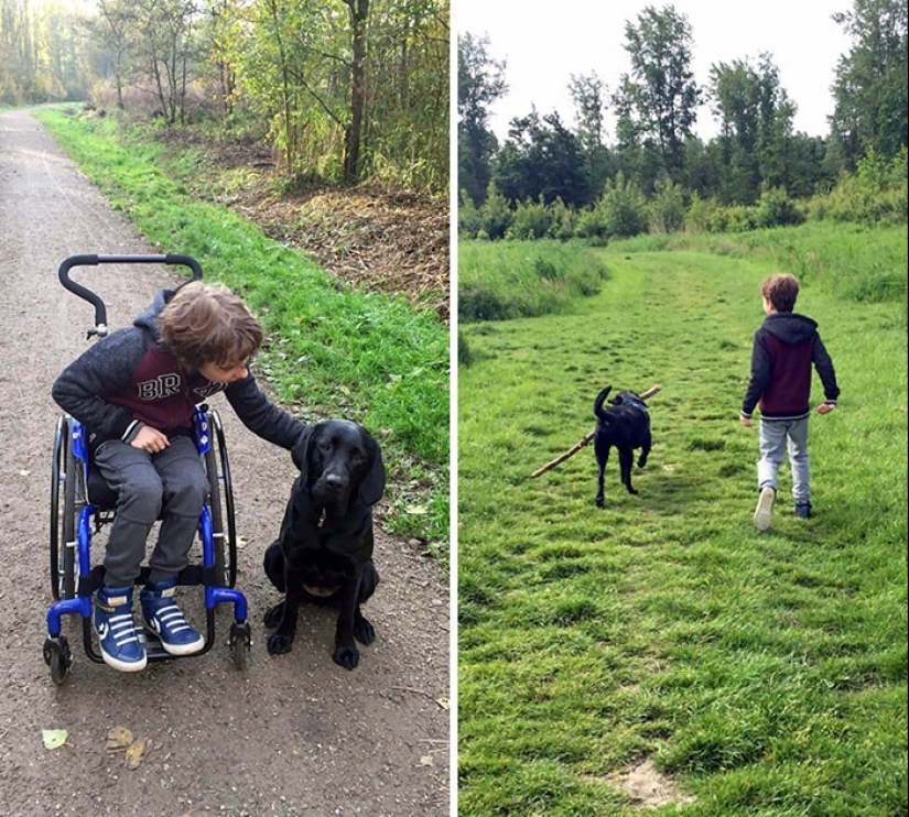 35 pruebas conmovedoras de que un perro es el mejor amigo de un niño