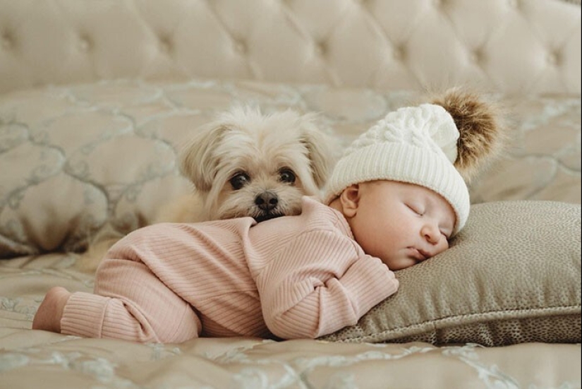 35 pruebas conmovedoras de que un perro es el mejor amigo de un niño