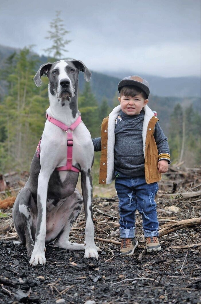 35 pruebas conmovedoras de que un perro es el mejor amigo de un niño