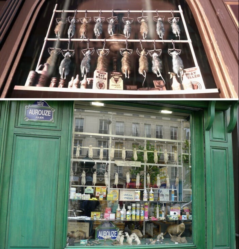 35 subtle details in the cartoon "Ratatouille" that you probably didn't notice 35 subtle details in the cartoon "Ratatouille" that you probably didn't notice