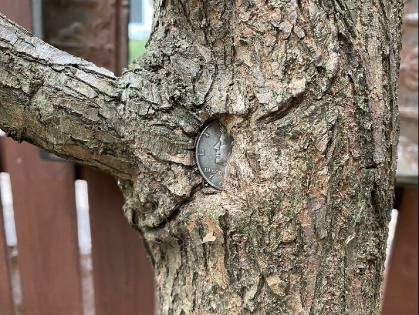 35 things that the merciless time has left its mark on 35 things that the merciless time has left its mark on