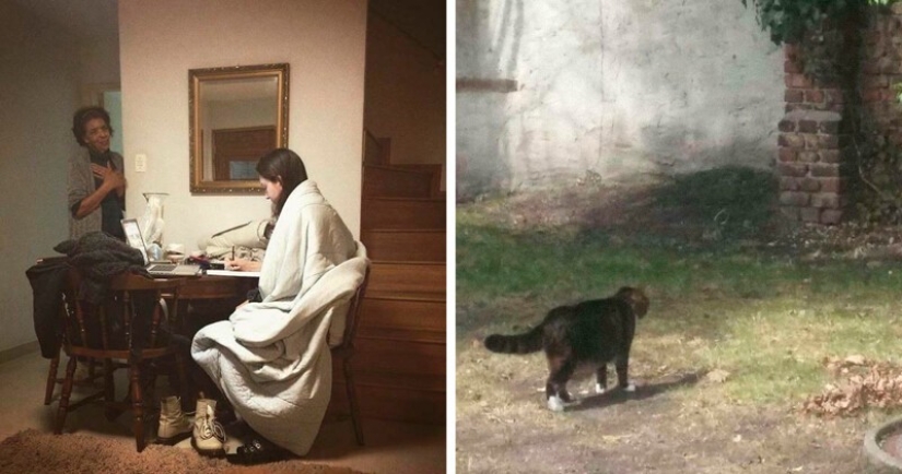 36 veces cuando ella sólo quería tomar una foto, pero resultó una pintura del Renacimiento 36 veces cuando ella sólo quería tomar una foto, pero resultó una pintura del Renacimiento