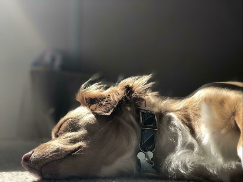 36 veces cuando ella sólo quería tomar una foto, pero resultó una pintura del Renacimiento 36 veces cuando ella sólo quería tomar una foto, pero resultó una pintura del Renacimiento