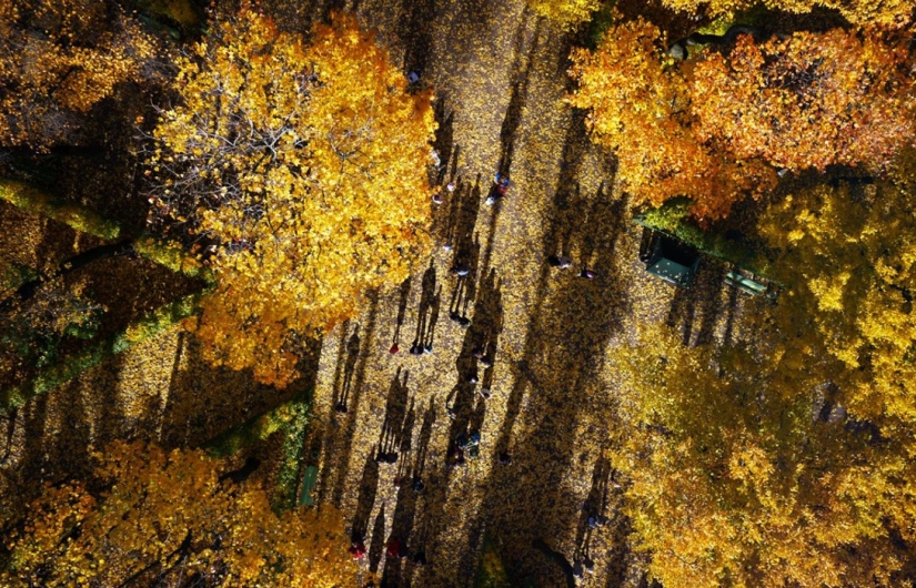 37 photos that can no longer be taken from an unmanned drone