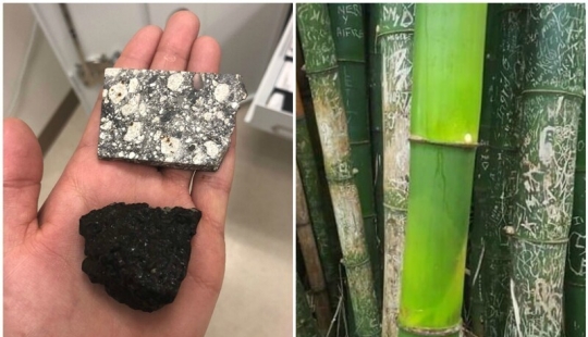 40 divertidas comparaciones fotográficas que abren una nueva visión del mundo 40 divertidas comparaciones fotográficas que abren una nueva visión del mundo