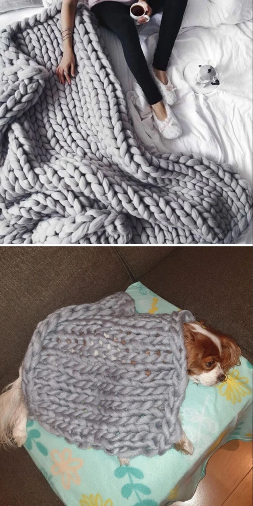 40 ejemplos de cómo engañar descaradamente a los clientes en Internet 40 ejemplos de cómo engañar descaradamente a los clientes en Internet