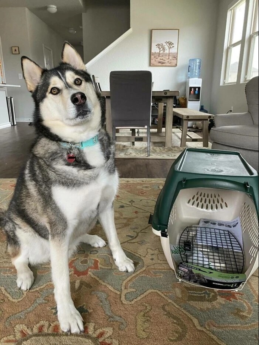 40 ejemplos de cómo engañar descaradamente a los clientes en Internet 40 ejemplos de cómo engañar descaradamente a los clientes en Internet