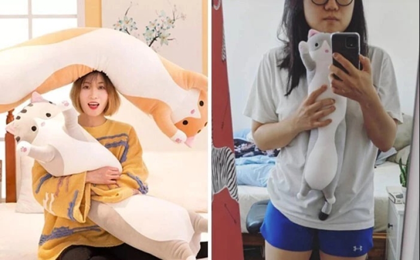 40 ejemplos de cómo engañar descaradamente a los clientes en Internet 40 ejemplos de cómo engañar descaradamente a los clientes en Internet