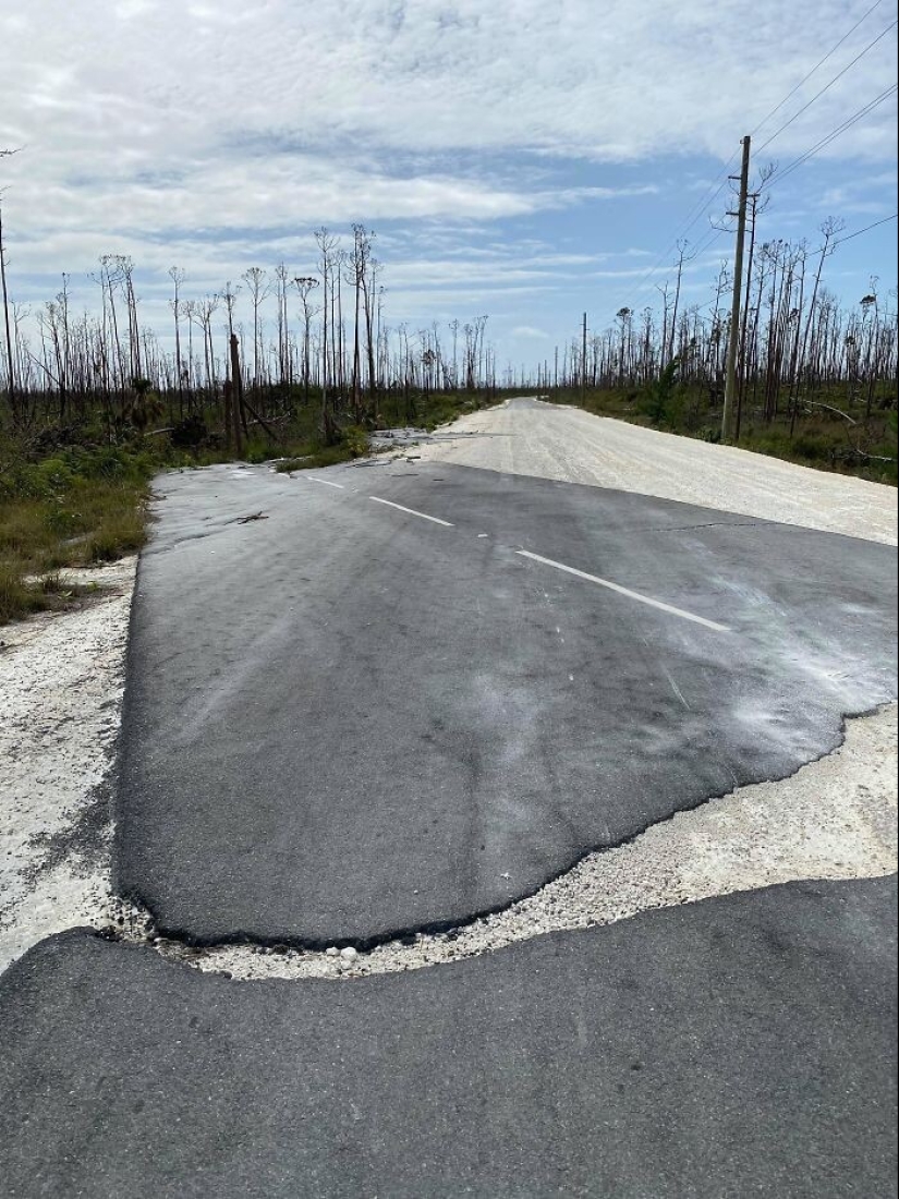 40 entertaining answers to the question "What happens if?"