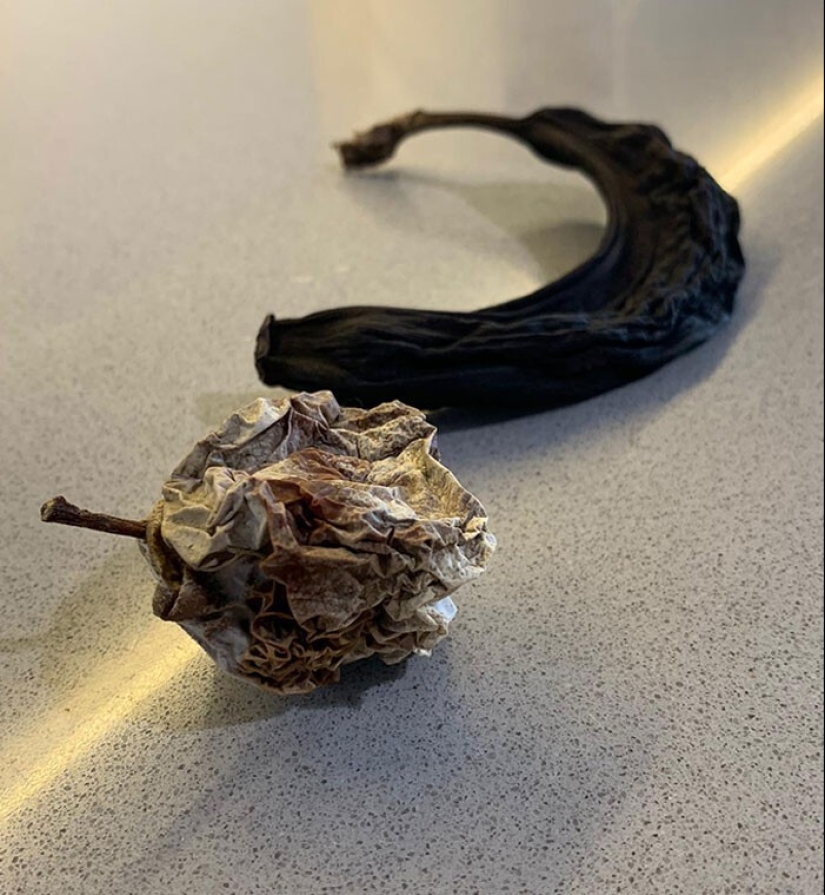 40 entertaining answers to the question "What happens if?"