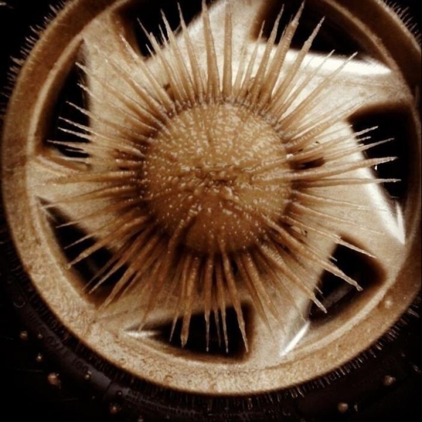 40 entertaining answers to the question "What happens if?"