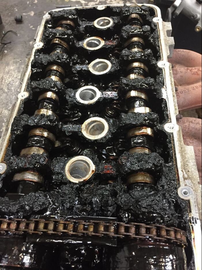 40 entertaining answers to the question "What happens if?"