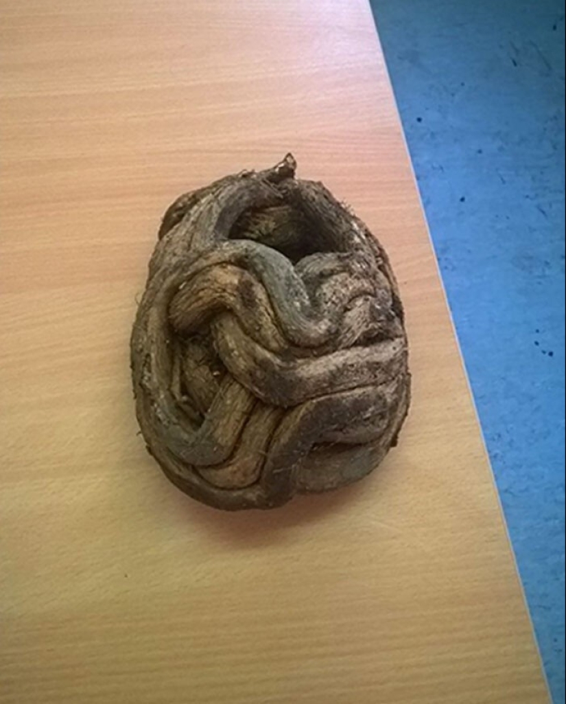 40 entretenido respuestas a la pregunta "¿Qué pasa si?"