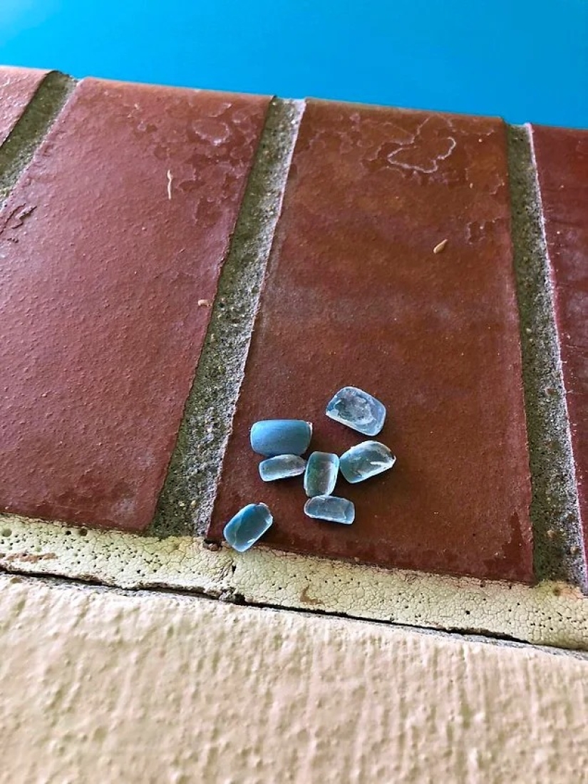 40 examples of terrible hotel guests and rented apartments