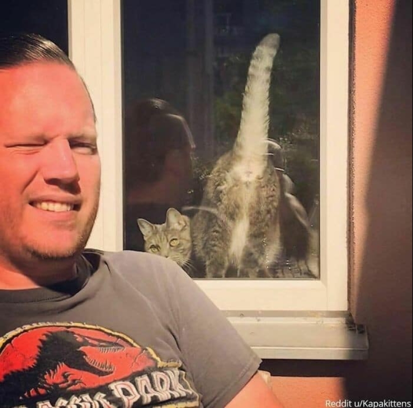 40 fotos divertidas y ridículas de álbumes familiares