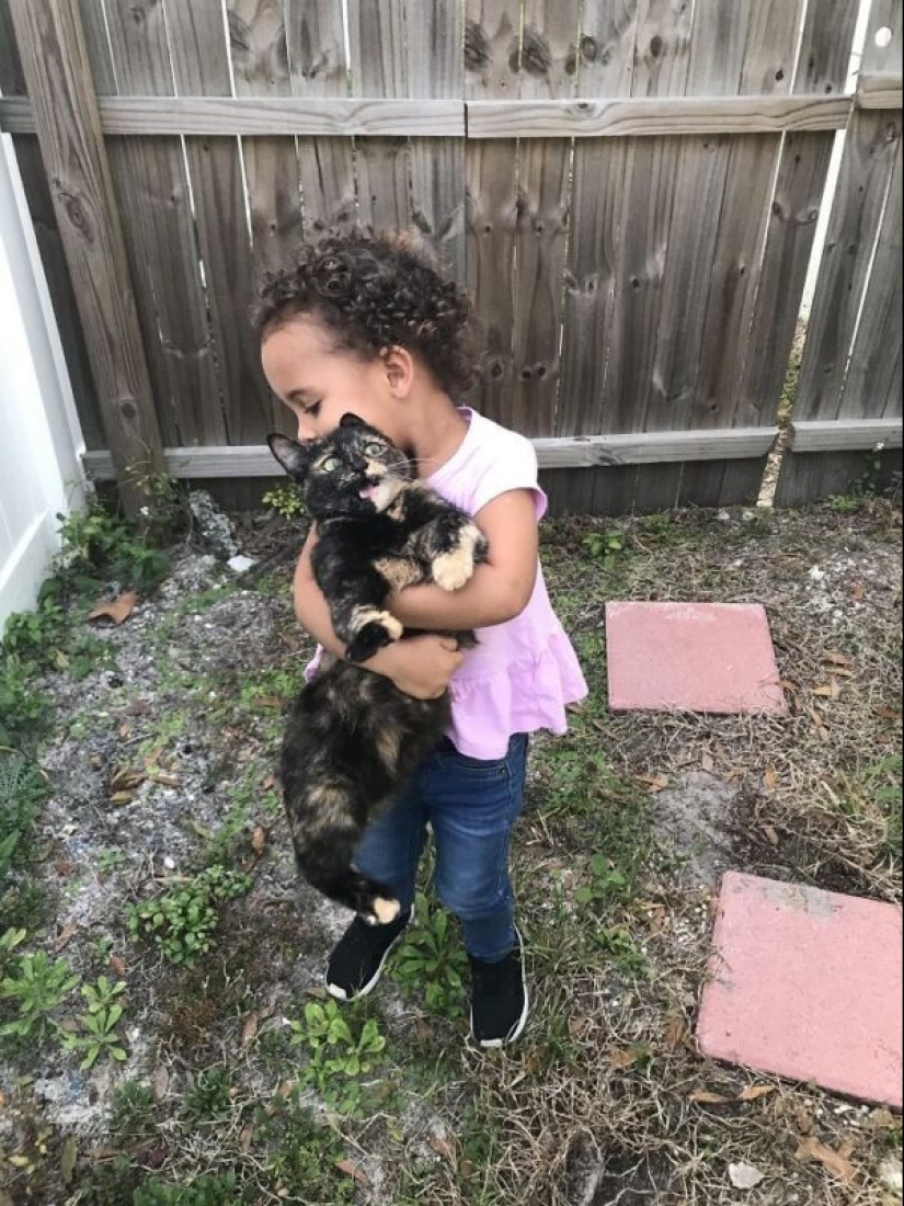 40 gatos increíblemente dramáticos que por alguna razón todavía no tienen un Oscar