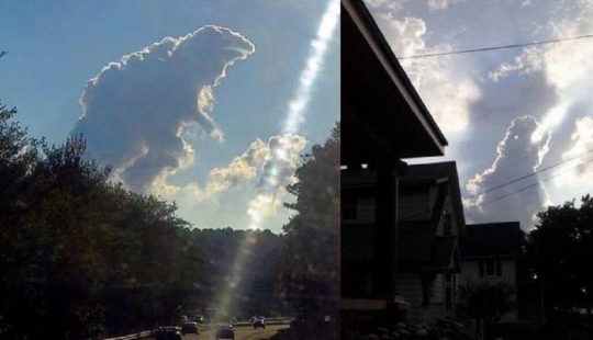 40 images to lift your mood