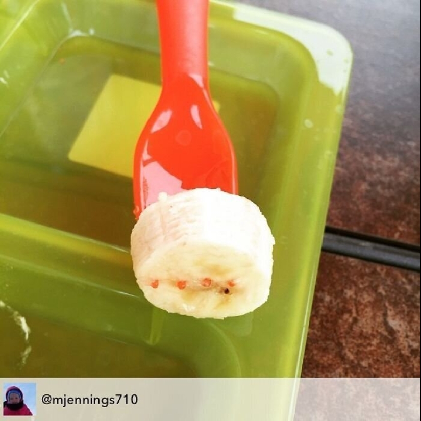 40 razones por las que los niños se niegan a comer 40 razones por las que los niños se niegan a comer