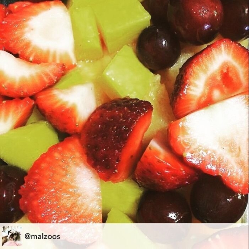 40 razones por las que los niños se niegan a comer 40 razones por las que los niños se niegan a comer