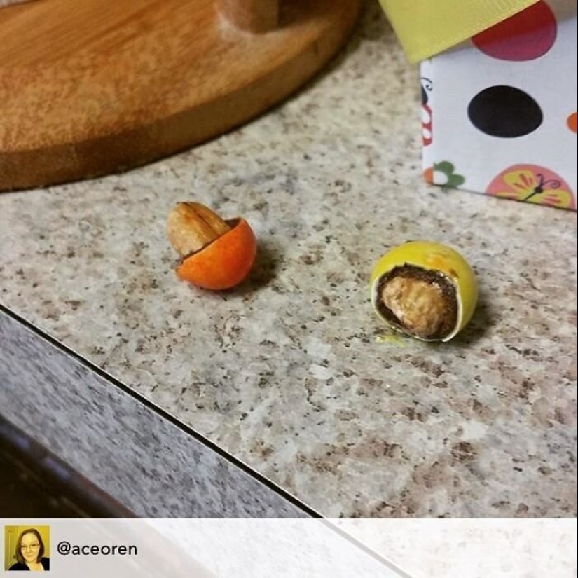 40 razones por las que los niños se niegan a comer 40 razones por las que los niños se niegan a comer