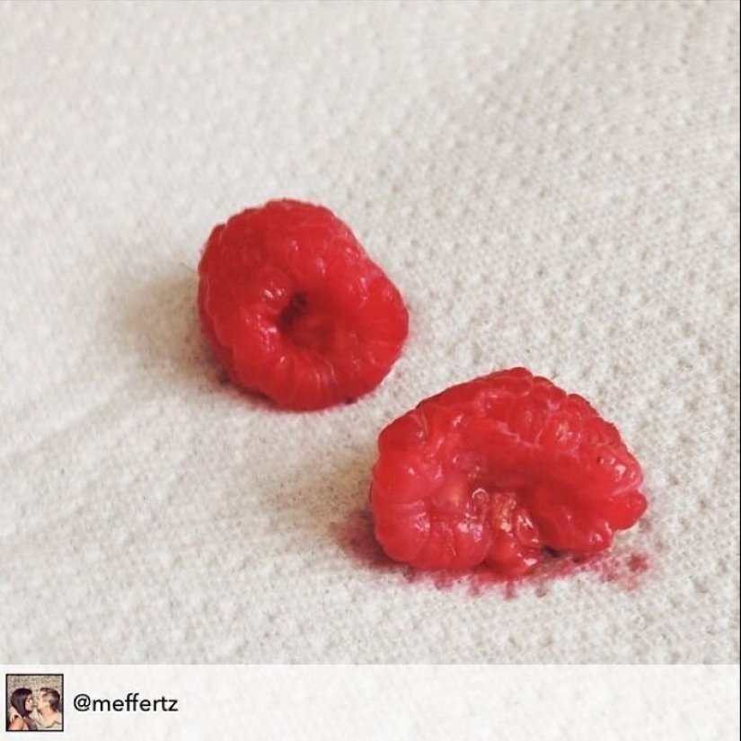 40 razones por las que los niños se niegan a comer 40 razones por las que los niños se niegan a comer