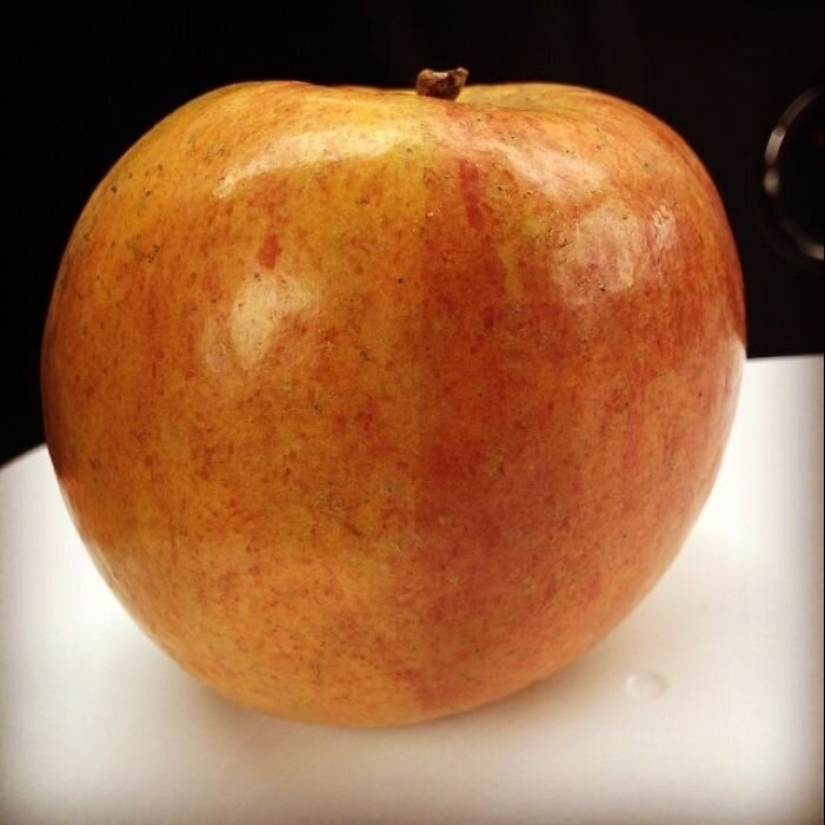 40 razones por las que los niños se niegan a comer 40 razones por las que los niños se niegan a comer