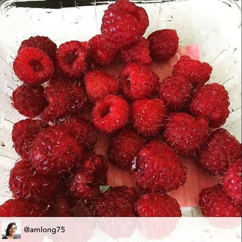 40 razones por las que los niños se niegan a comer 40 razones por las que los niños se niegan a comer